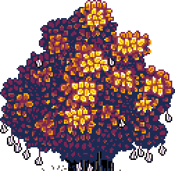 Tree top fig tree at bottom of page below 'Sheeba' box in Autumn Garden