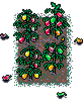 Autumn Patch Sweet Peppers (Mud : B)