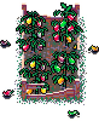 Autumn Patch Sweet Peppers (Bolsa Wood : B)