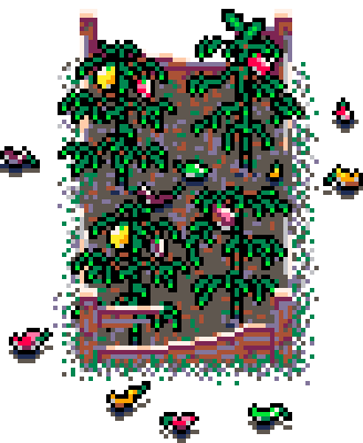 Autumn Patch Sweet Peppers (Bolsa Wood : D)