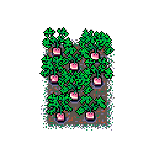 Info Box Carousel Slide #4 : Turnip patch in mud