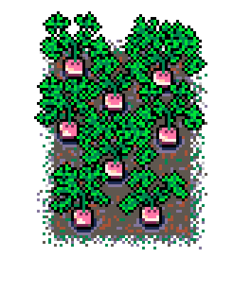 Info Box Collage Grid Spring Plant Patch Turnip (Mud)