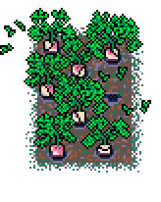 Spring Patch Turnip (Mud : C)