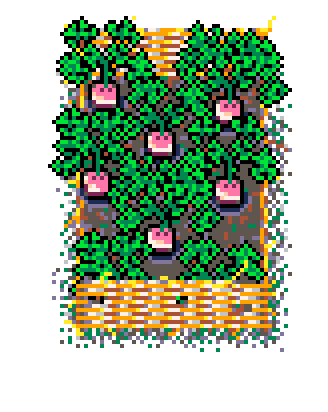 Info Box Collage Grid Spring Plant Patch Turnip (Starw)