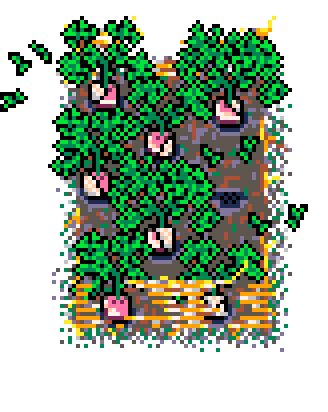 Spring Patch Turnip (Straw : C)