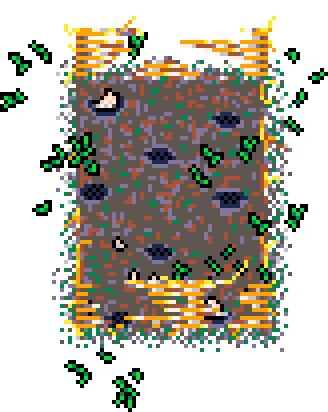 Spring Patch Turnip (Straw : E)