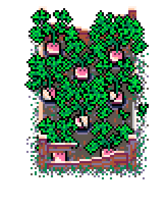 Spring Patch Turnip (Bolsa Wood : B)