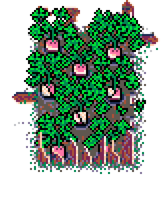 Spring Patch Turnip (Wood : B)