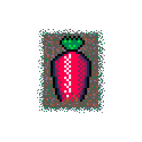 Info Box Carousel Slide #8 : competition grade radish !
