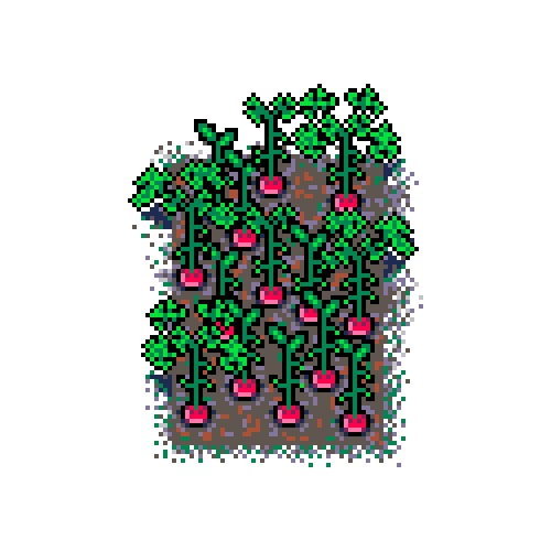 Info Box Carousel Slide #4 : Radish patch in mud