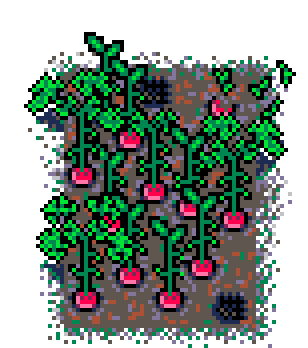 Summer Patch Radish (Mud : B)