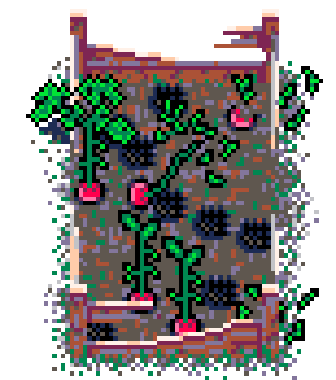 Summer Patch Radish (Bolsa Wood : D)