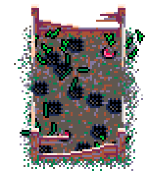 Summer Patch Radish (Bolsa Wood : E)