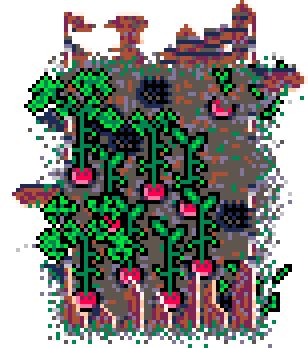 Summer Patch Radish (Wood : C)