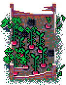 Radish patch ransacked (button) in Summer Garden