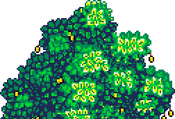 Half tree top apricot tree at bottom of page below 'Sheeba' box in Summer Garden