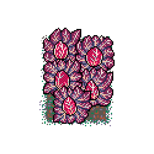 Info Box Carousel Slide #4 : Red chicory patch in mud