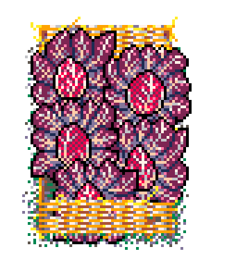 Info Box Collage Grid Winter Plant Patch Red Chicory (Starw)