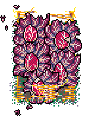 Winter Patch Red Chicory (Straw : B)