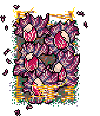 Winter Patch Red Chicory (Straw : C)