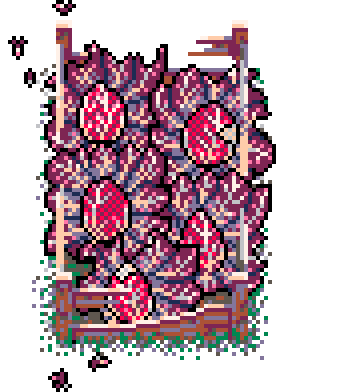 Winter Patch Red Chicory (Bolsa Wood : B)