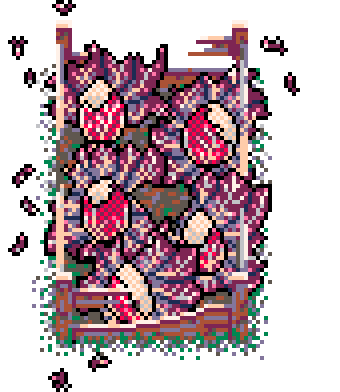 Winter Patch Red Chicory (Bolsa Wood : C)