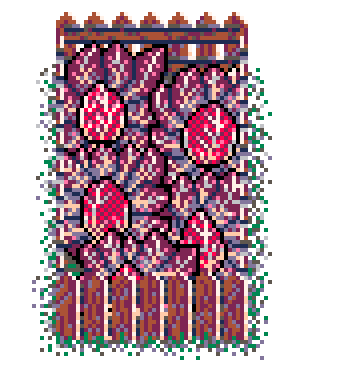 Info Box Collage Grid Winter Plant Patch Red Chicory (Wood)