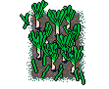 First fennel patch left ransacked, obscured by overbearing surrounded trees, furthest left in forest band, above the 'New Gardens' info box in Winter Garden