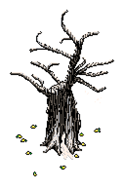 Husk of a winter tree with snow on bare branches, near left-hand clearing, surrounded by fallen lemons and a bright bunch of yellow flowes off its base, in the Winter Garden