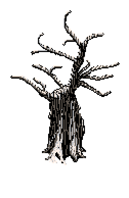 Small nude winter tree with snow on plain branches, standing at the far left edge of the forest trail in the Winter Garden