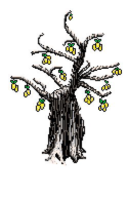 Sprouting lemon tree with snow on branches, forming a mid-left outer tier alongside other trees, to the left of the 'What is Fuml For ?' info box in Winter Garden