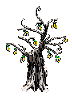 Sprouting lemon tree with snow on branches, rounded canopy facing forward mid-right, to the right of the 'What is Fuml For ?' info box in Winter Garden