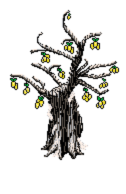 Young lemon tree with snow on its branches, rising alone from the smooth white snowfield, to the left of the '16 Colours' info box in Winter Garden