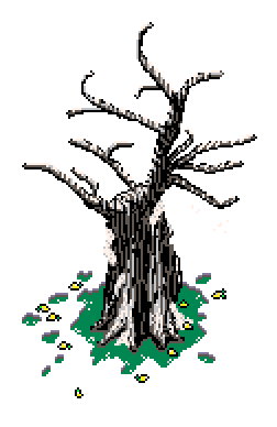 Husk tree with snow on branches, surrounded by fallen lemons resting on melted grass, in Winter Garden