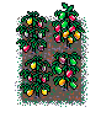 Info Box Collage Grid Autumn Plant Patch SweetPeppers (Mud)