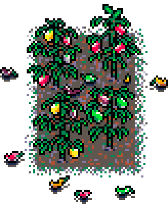 Autumn Patch Sweet Peppers (Mud : C)