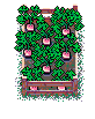 Info Box Collage Grid Spring Plant Patch Turnip (Bolsa Wood)