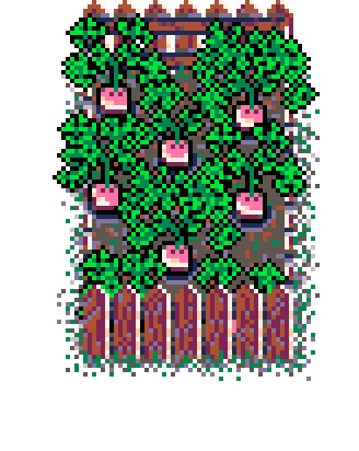 Info Box Collage Grid Spring Plant Patch Turnip (Wood)