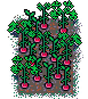 Info Box Collage Grid Summer Plant Patch Radish (Mud)