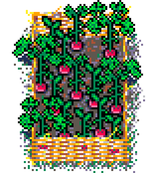 Info Box Collage Grid Summer Plant Patch Radish (Straw)