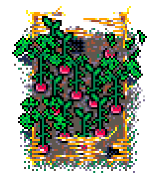 Summer Patch Radish (Straw : B)