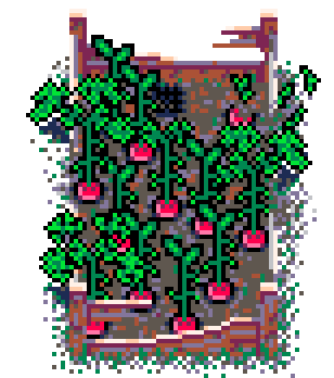 Summer Patch Radish (Bolsa Wood : B)