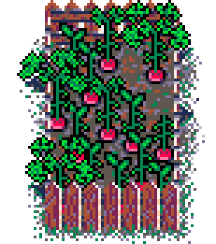 Info Box Collage Grid Summer Plant Patch Radish (Wood)
