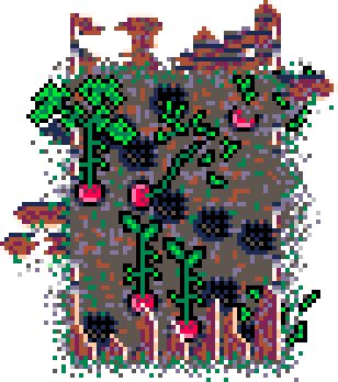 Summer Patch Radish (Wood : D)