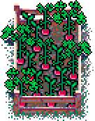 Neighbouring patch of untouched sweet peppers, in forest clearing, above the '16 Colours' info box in Summer Garden