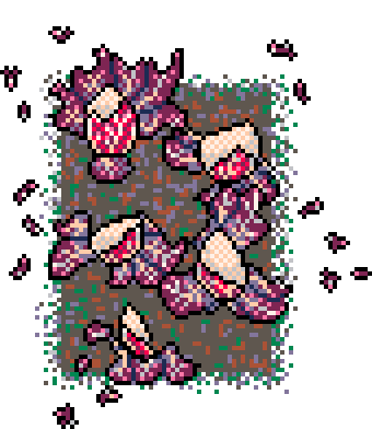 Winter Patch Red Chicory (Mud : D)