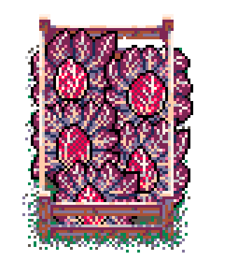 Info Box Collage Grid Winter Plant Patch Red Chicory (Bolsa Wood)